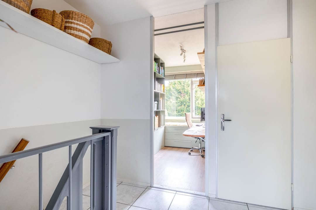 Foto 28 van Ivoordistel 12