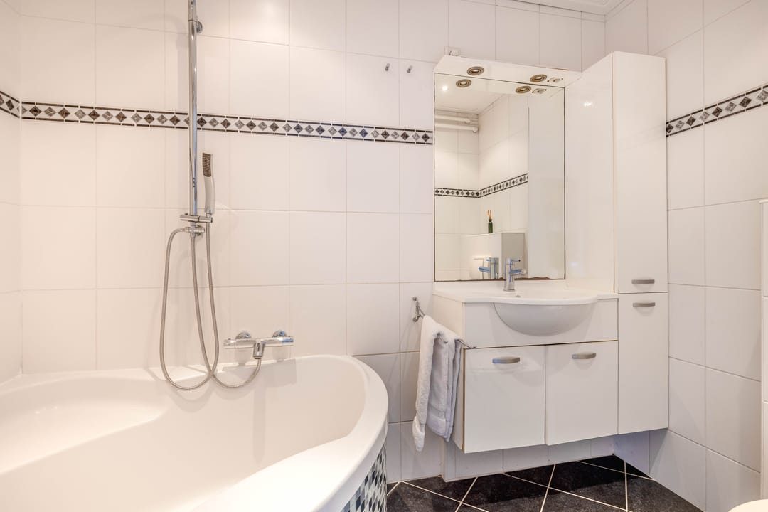 Foto 31 van Ivoordistel 12