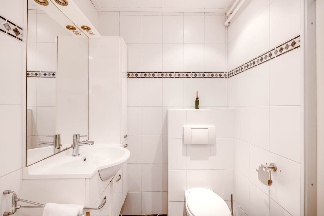 Foto 32 van Ivoordistel 12