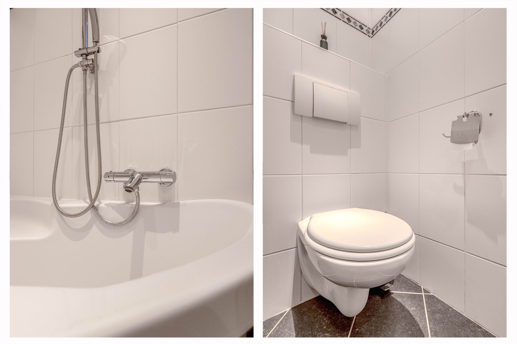 Foto 33 van Ivoordistel 12