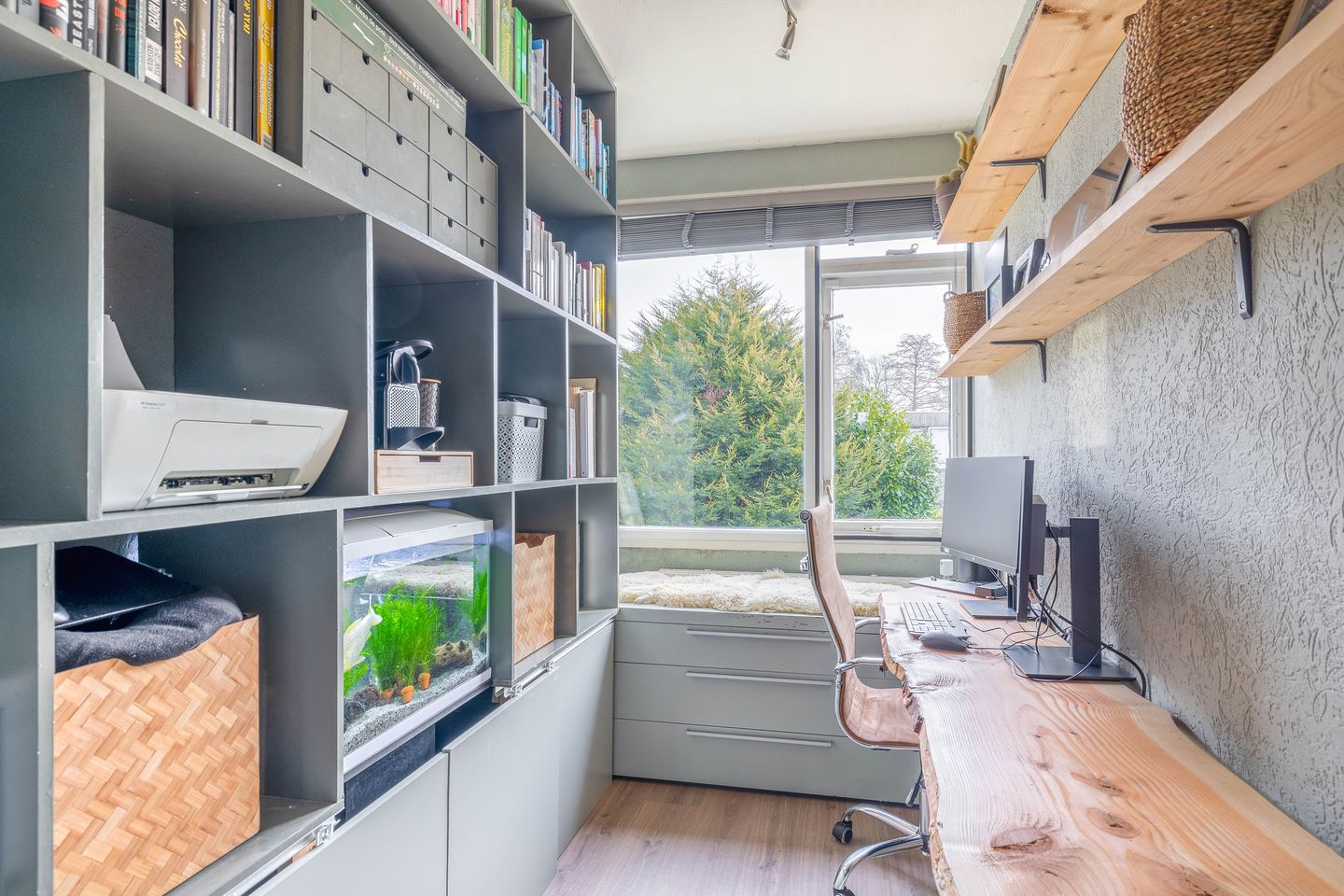 Foto 35 van Ivoordistel 12