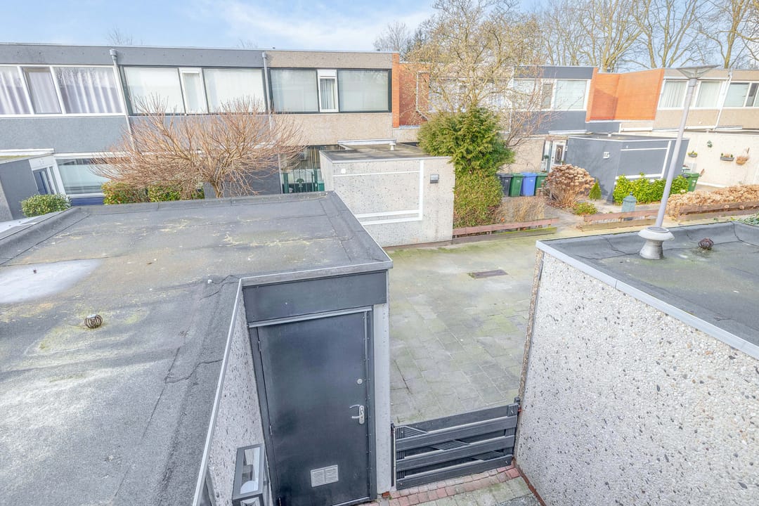 Foto 38 van Ivoordistel 12