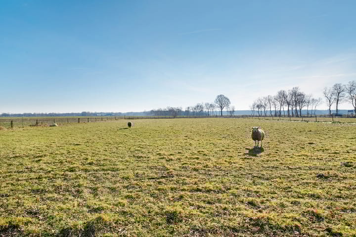 Foto 62 van Esweg 4-F