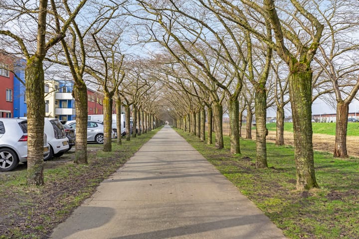 Foto 31 van Sepiastraat 86