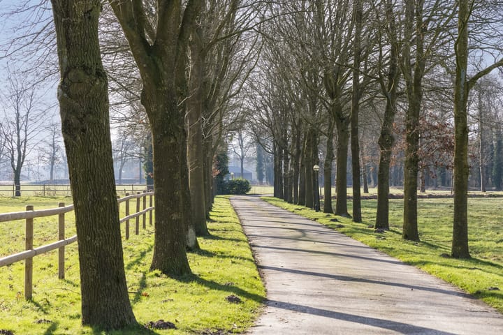 Foto 4 van Prinsendijk 4