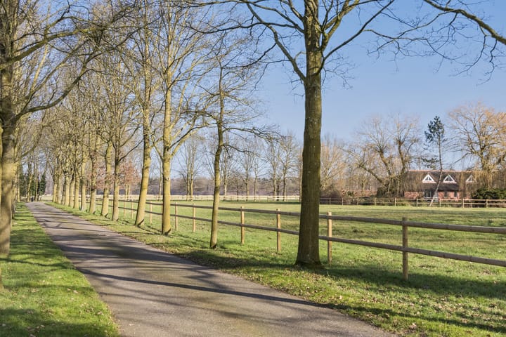 Foto 5 van Prinsendijk 4