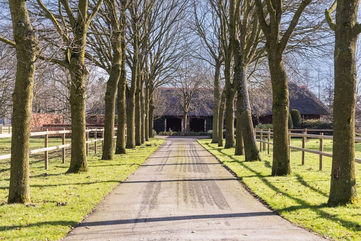 Foto 6 van Prinsendijk 4