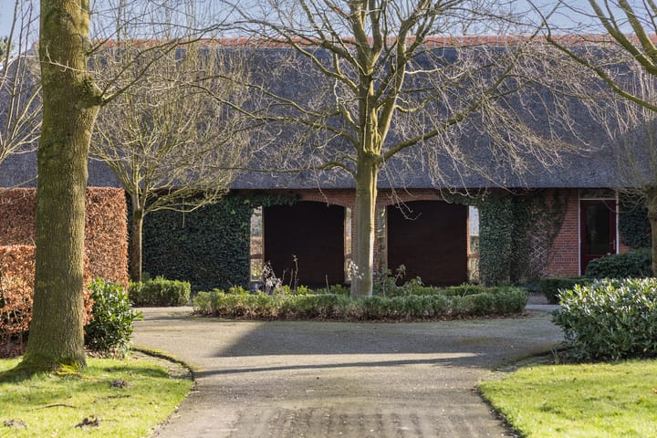 Foto 7 van Prinsendijk 4