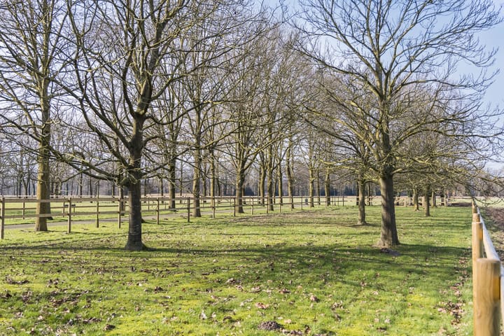 Foto 68 van Prinsendijk 4