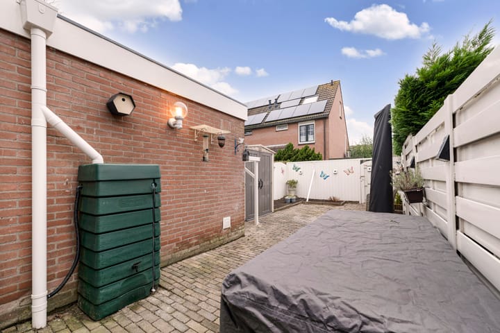 Foto 16 van Ringfazant 15