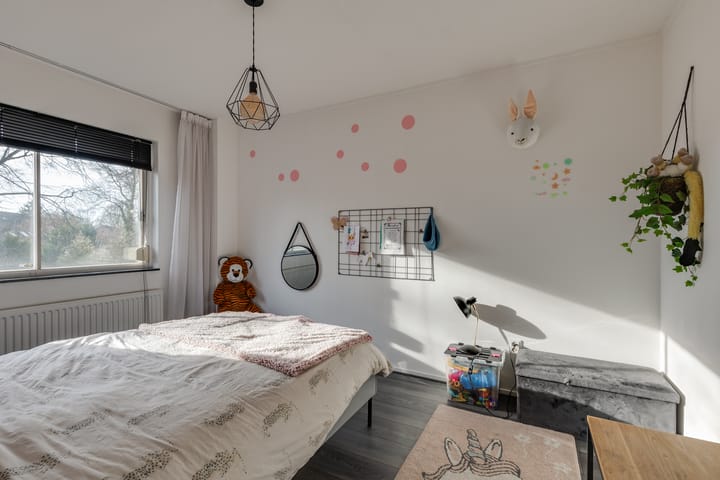 Foto 16 van Molenaar 9