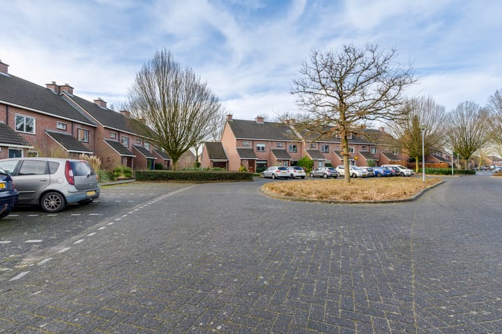 Foto 29 van Molenaar 9