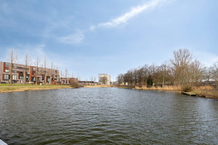 Photo 41 of Vrijheer van Eslaan 155