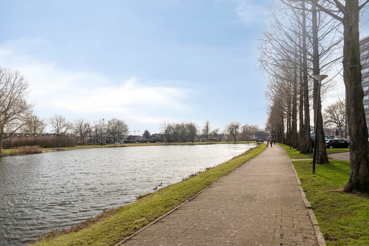 Photo 42 of Vrijheer van Eslaan 155