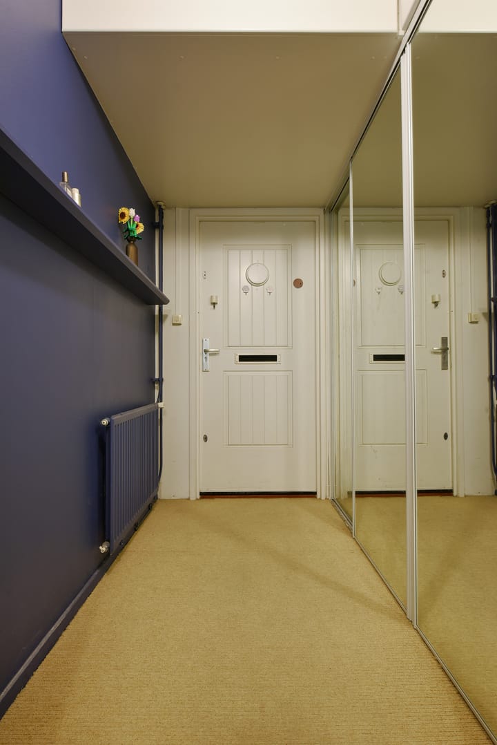 Foto 10 van Amerbos 340