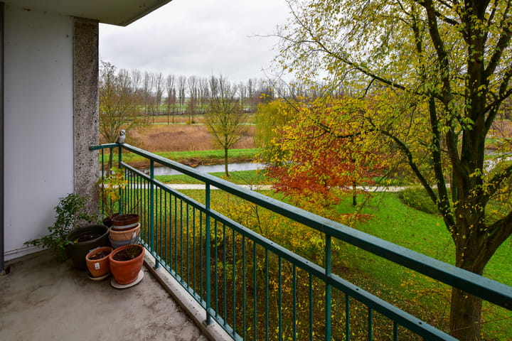 Foto 12 van Amerbos 340