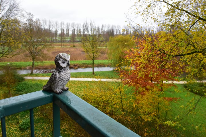 Foto 14 van Amerbos 340