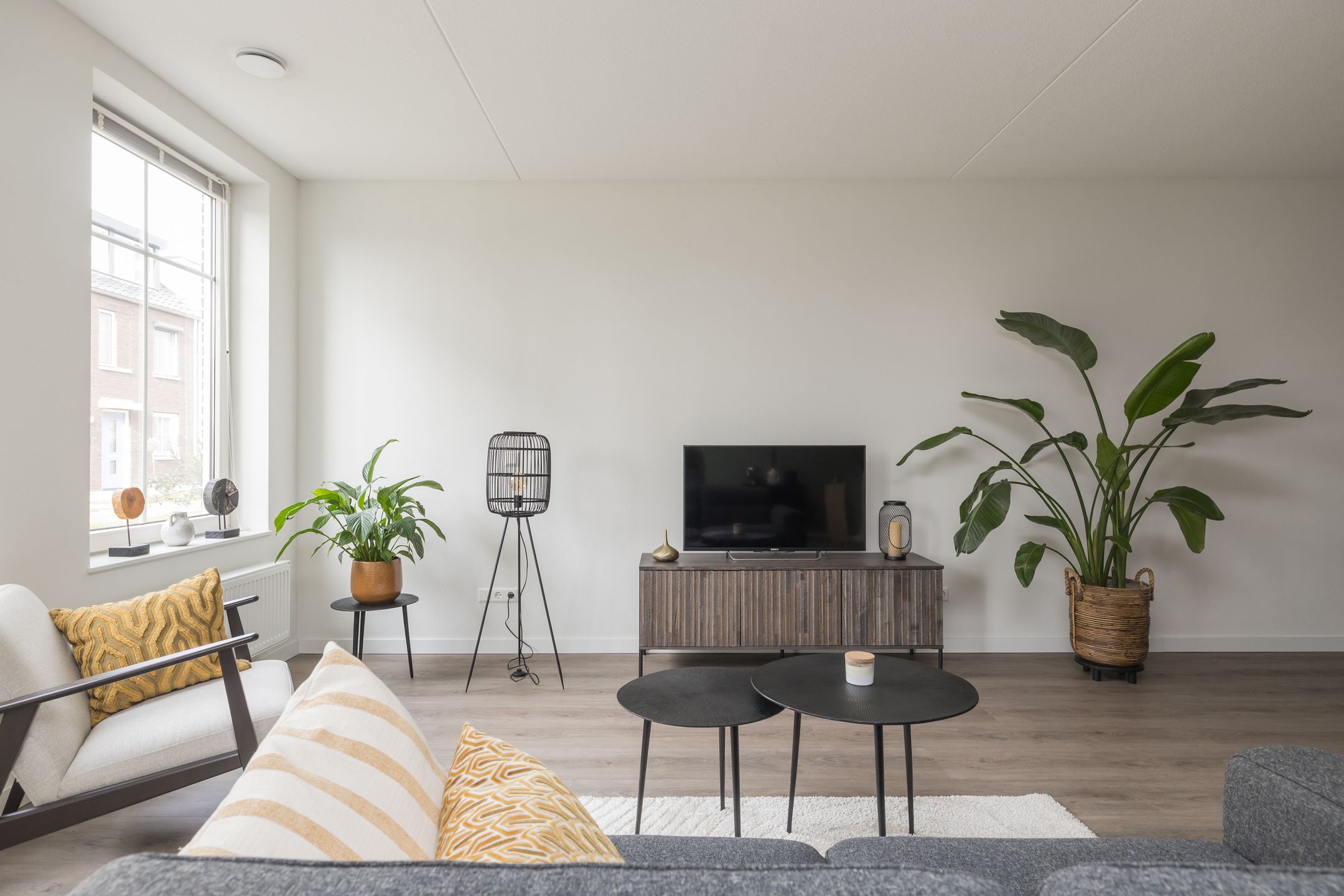 Photo 21 of Anne Frankhove 98