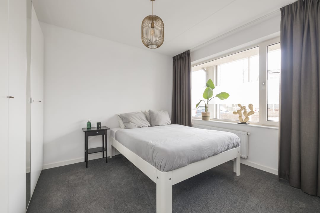 Photo 31 of Anne Frankhove 98