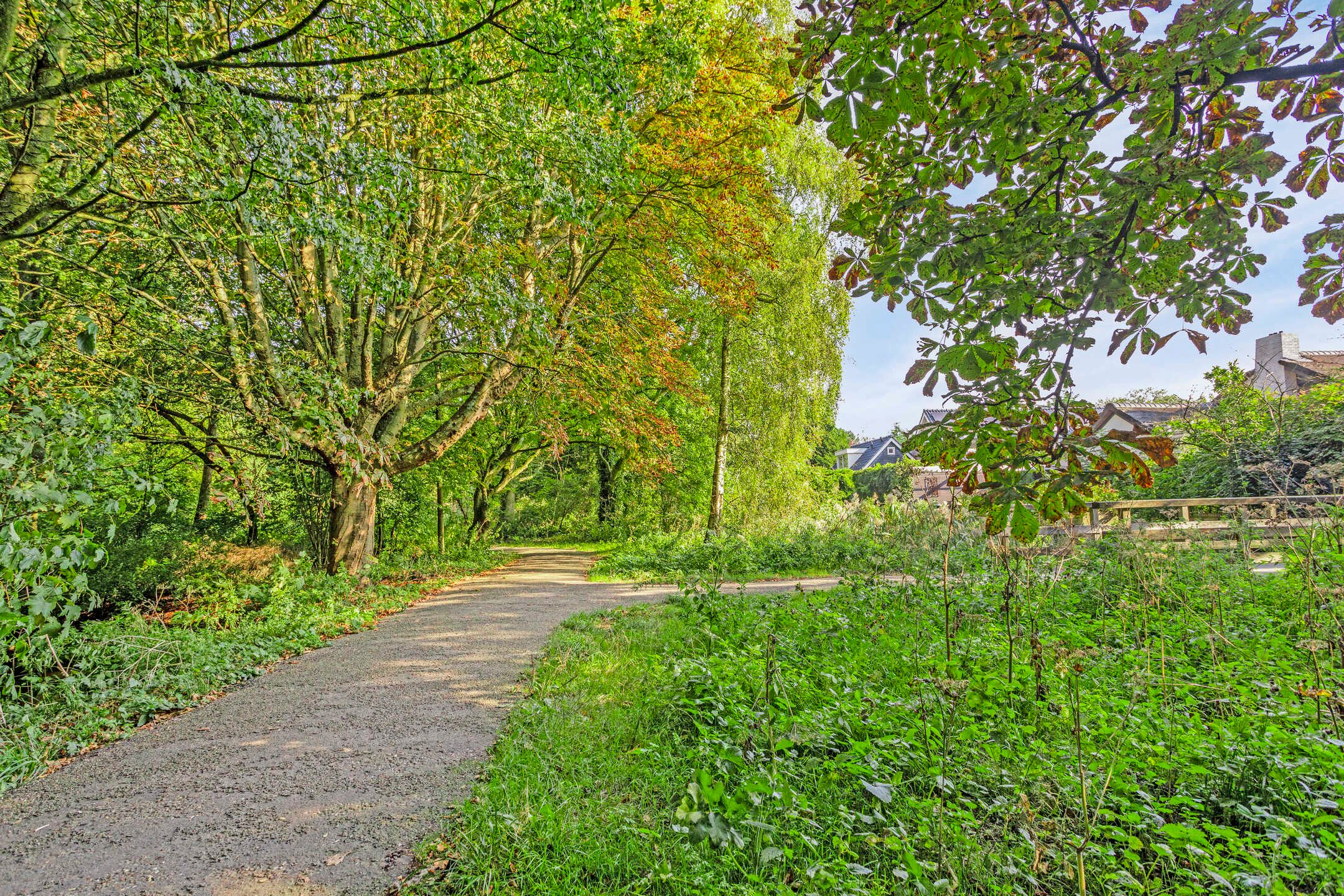 Foto 51 van Gabriël Metsulaan 28