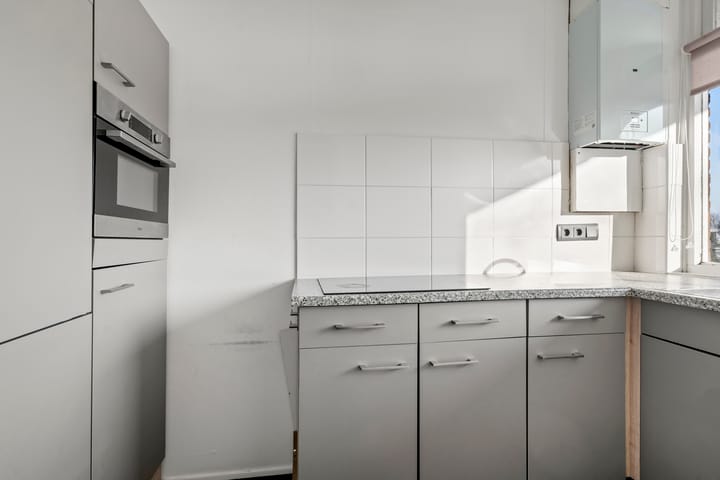 Foto 2 van Groen van Prinstererstraat 59