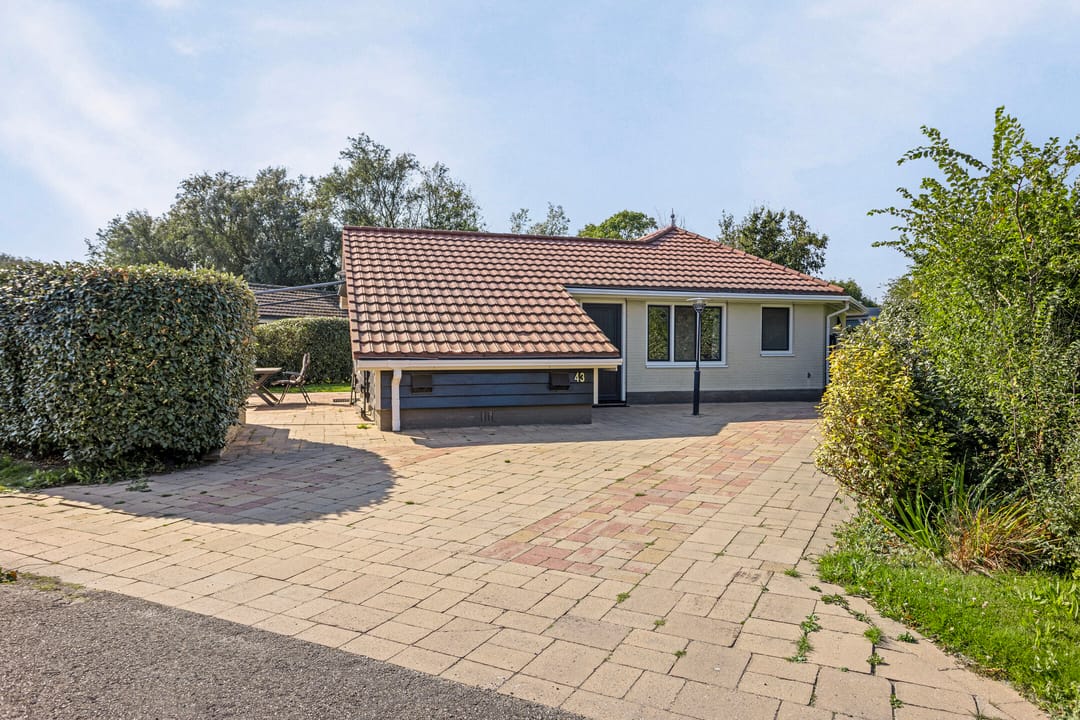 Photo 7 of Branding 43