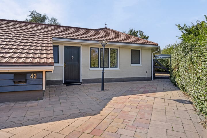 Photo 8 of Branding 43