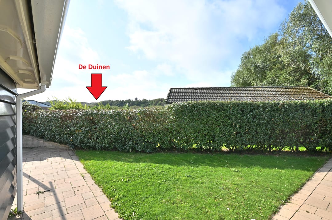 Photo 16 of Branding 43