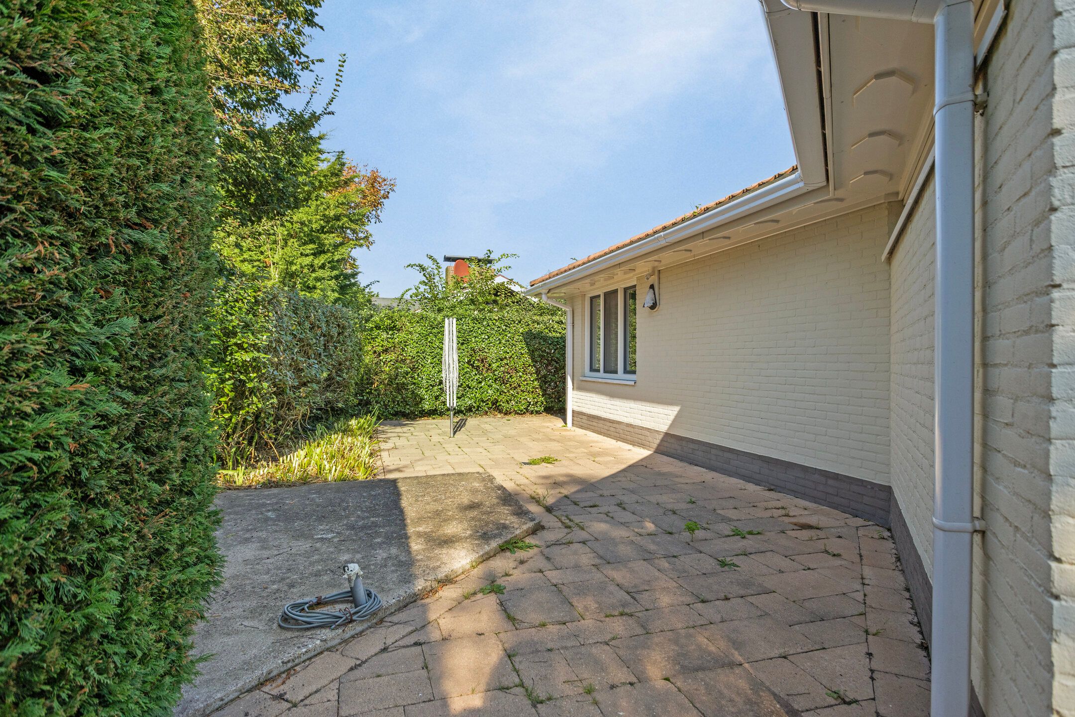 Photo 24 of Branding 43