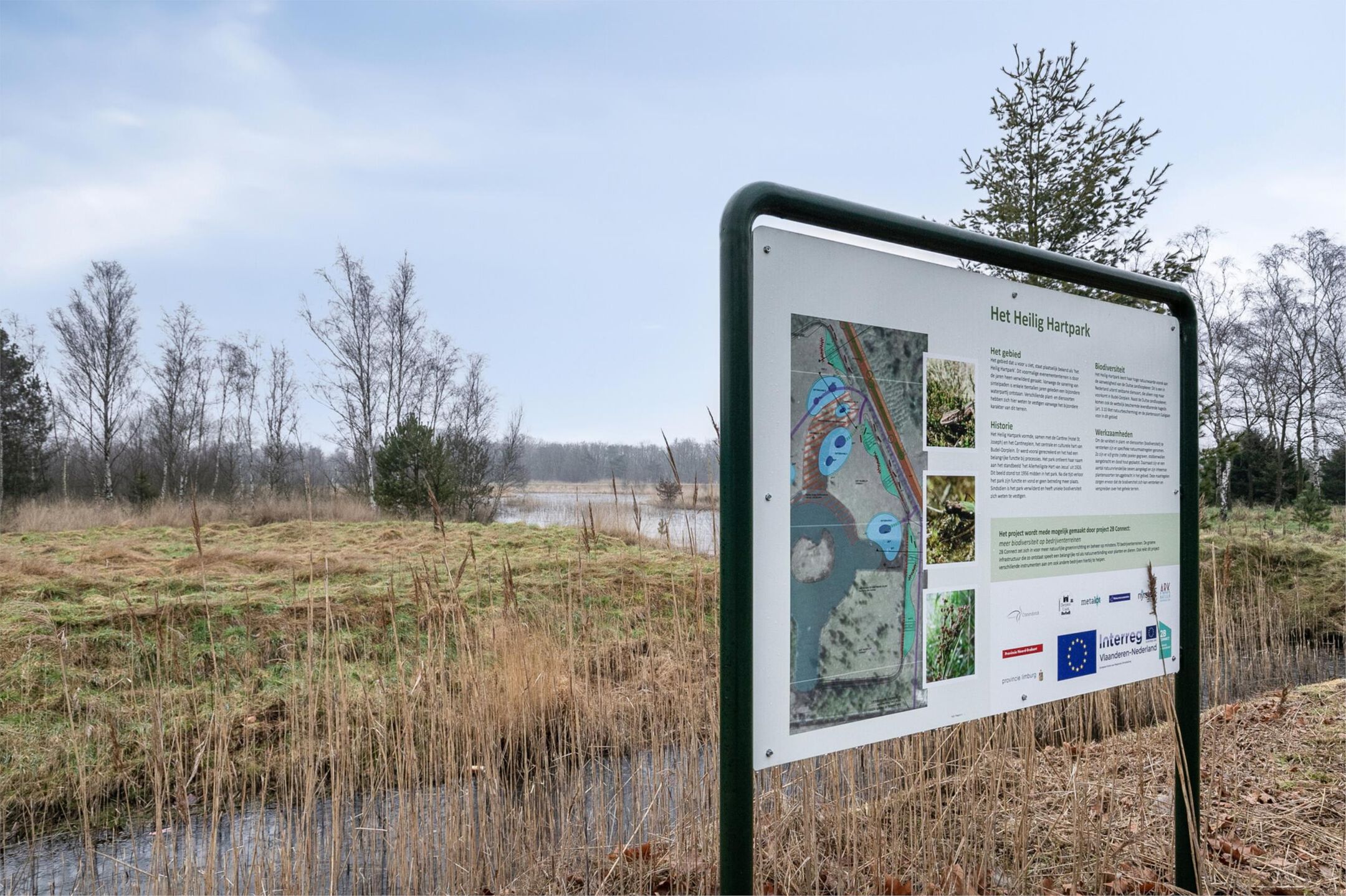 Foto 48 van Theo Stevenslaan 18