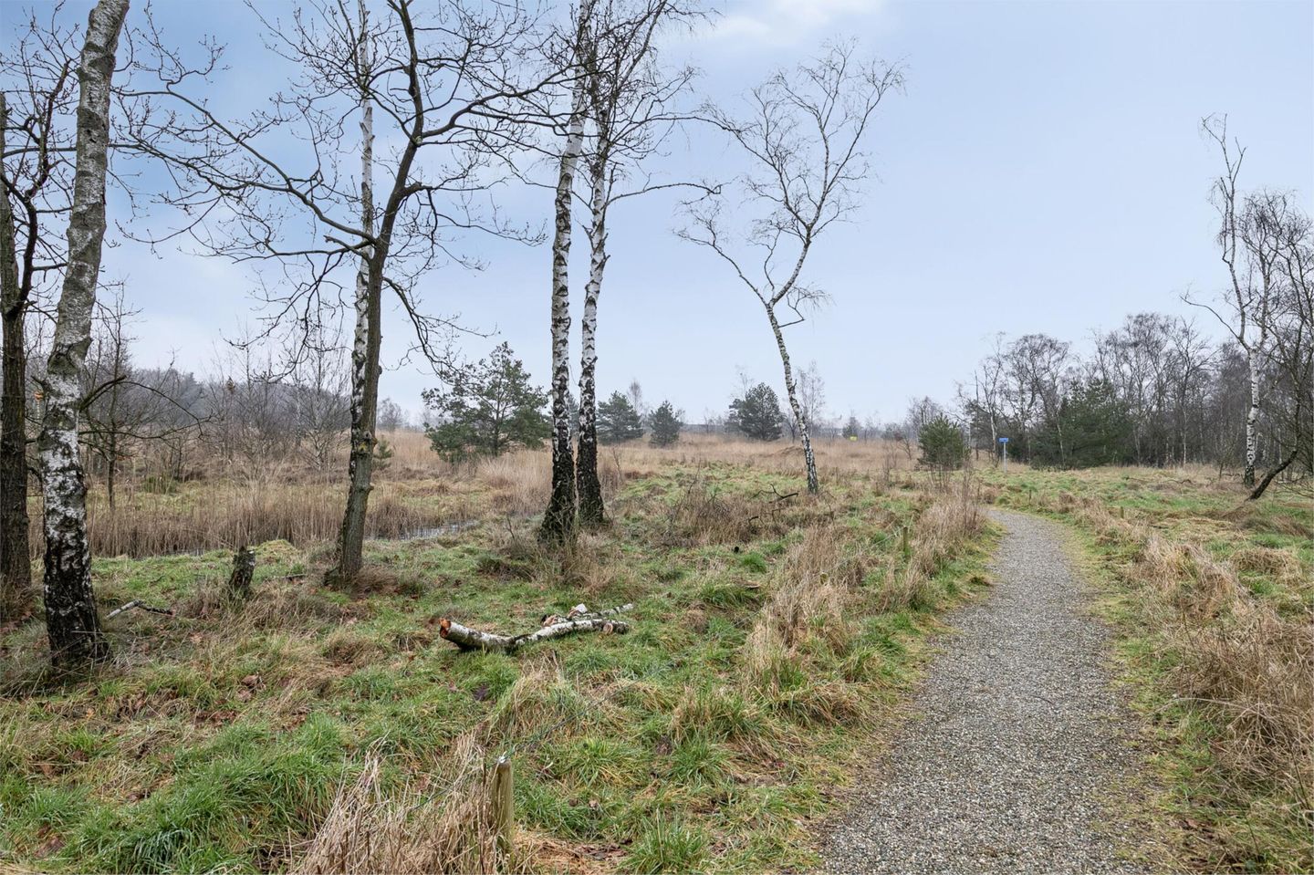 Foto 49 van Theo Stevenslaan 18