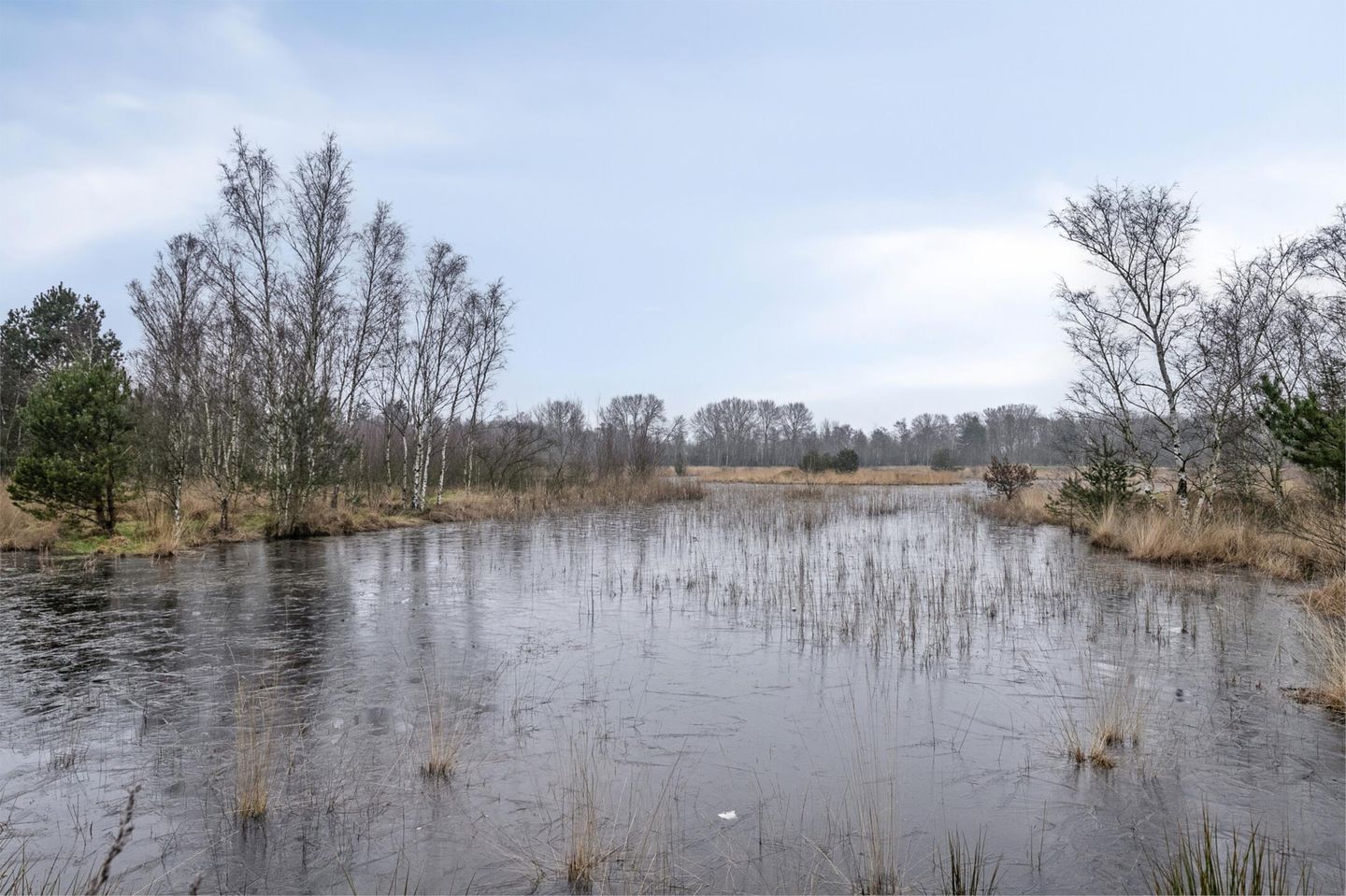 Foto 50 van Theo Stevenslaan 18