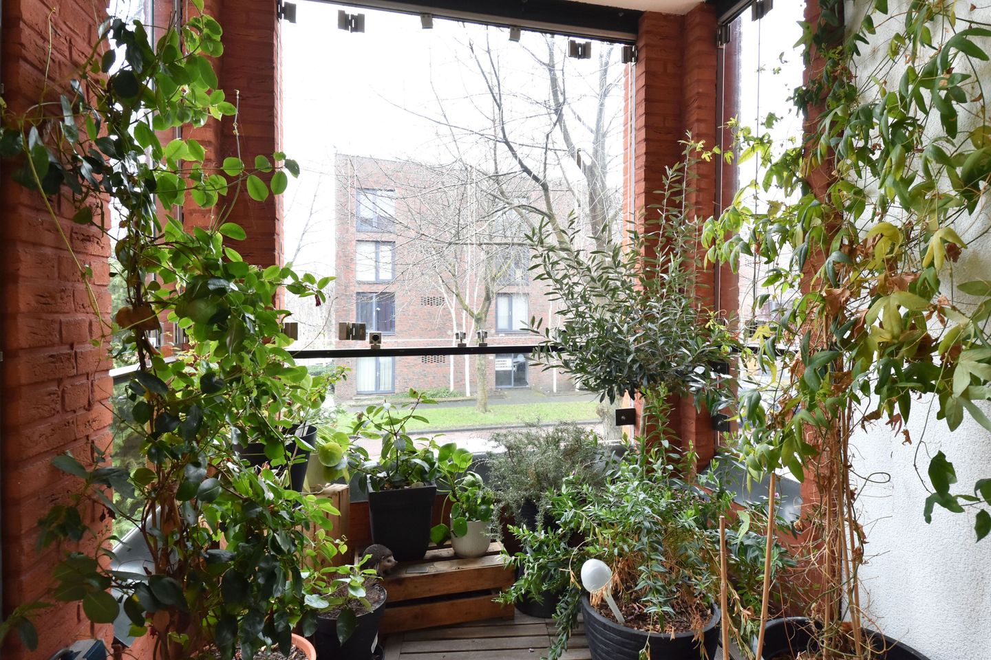 Foto 10 van Zwaluwsingel 146