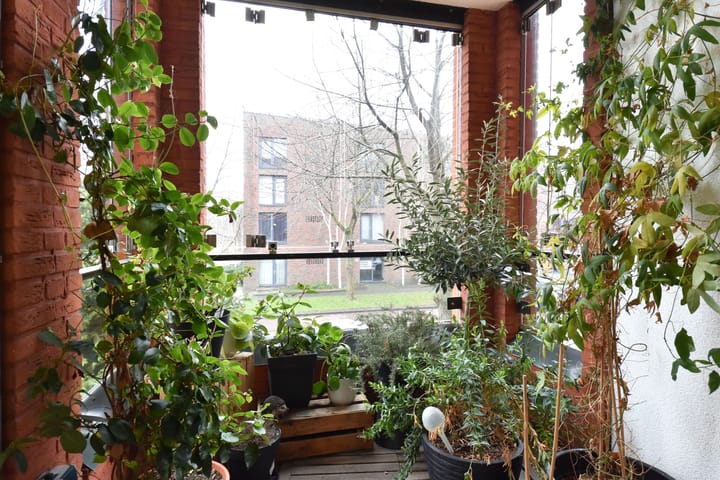 Foto 10 van Zwaluwsingel 146