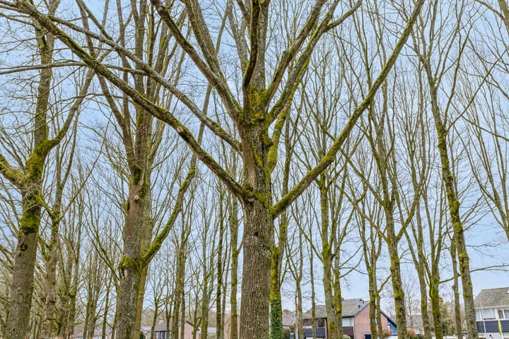 Foto 57 van Gouden Regenlaan 10