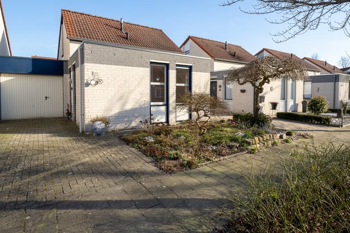 undefined main image