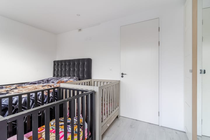 Foto 17 van Bolkruid 59