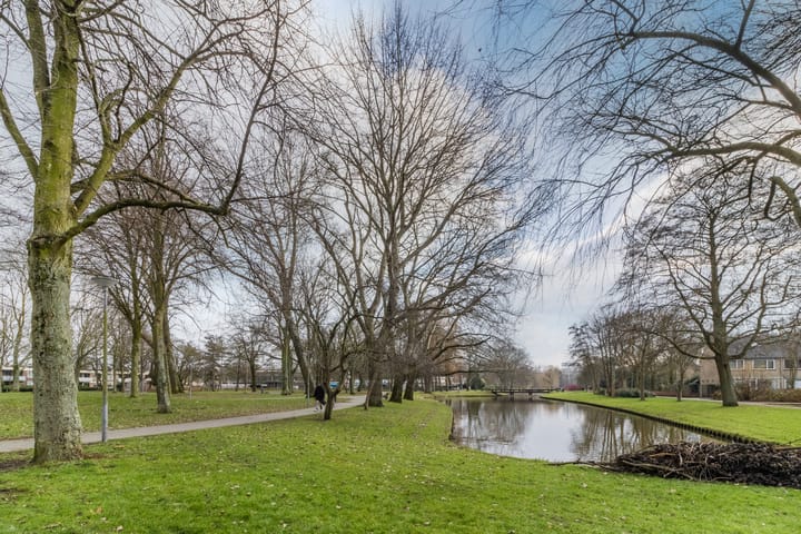 Foto 23 van Bolkruid 59