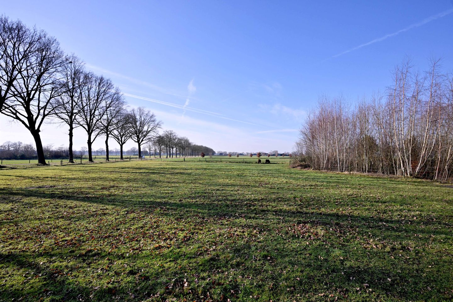 Foto 5 van Broeklanderdijk 38