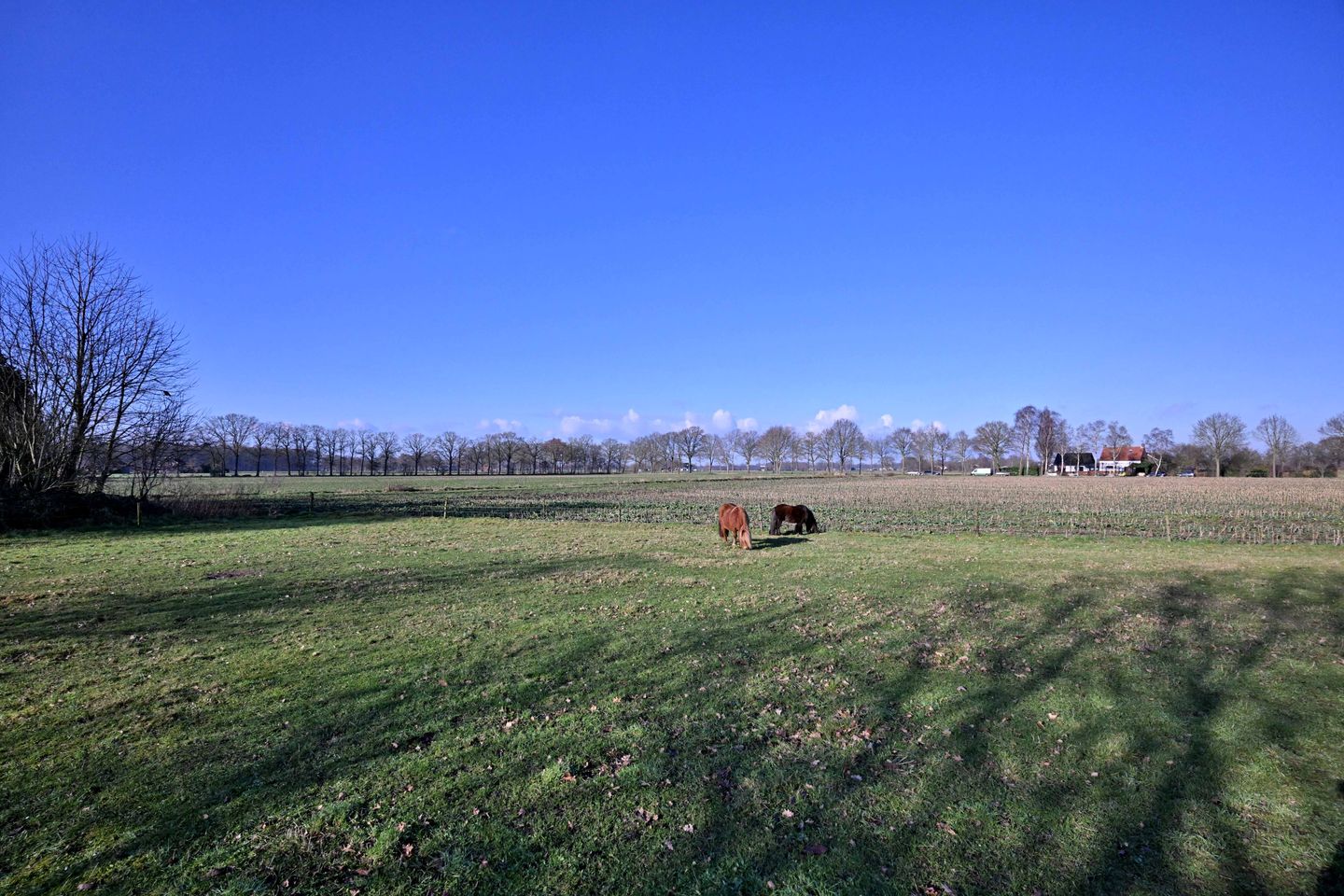 Foto 34 van Broeklanderdijk 38