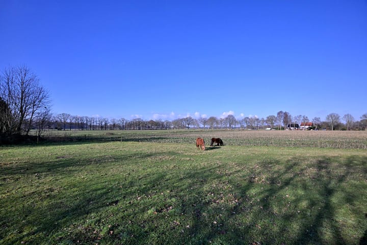 Foto 34 van Broeklanderdijk 38