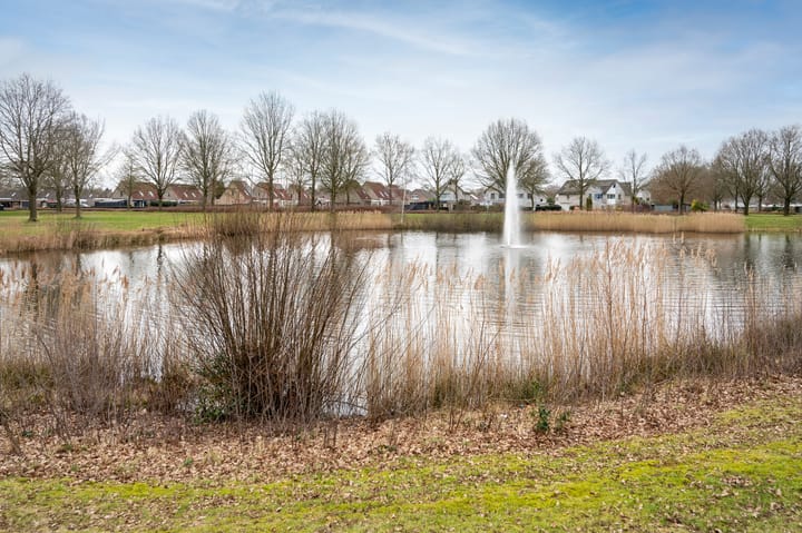 Photo 27 of Eendenveld 32