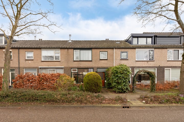 Bekijk foto van Wittenburg 52
