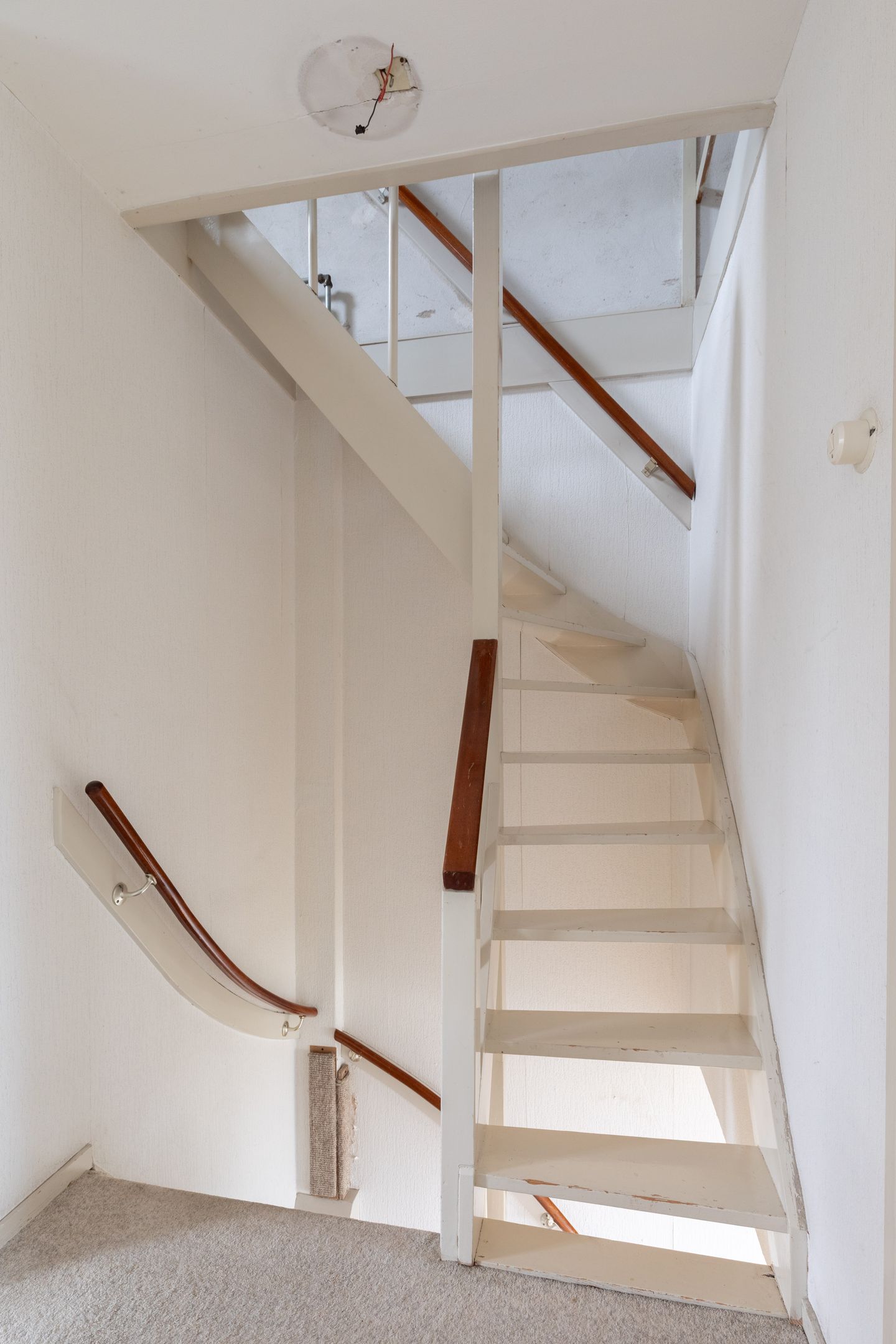 Photo 19 of Wittenburg 52