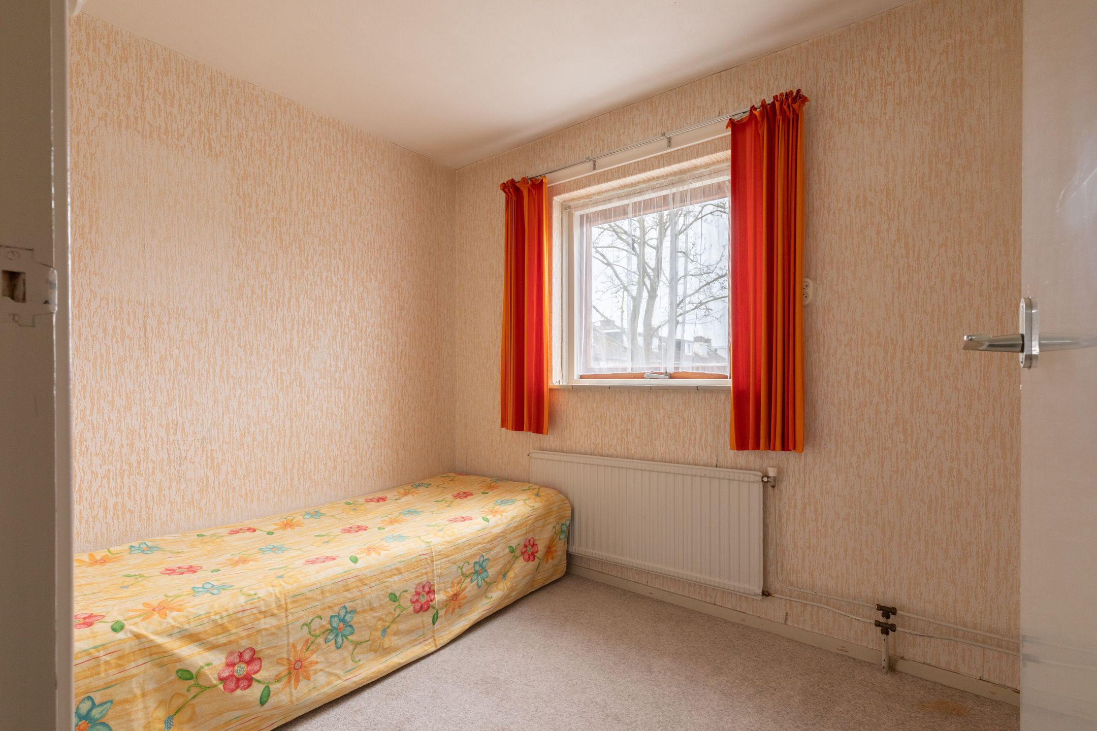 Photo 24 of Wittenburg 52