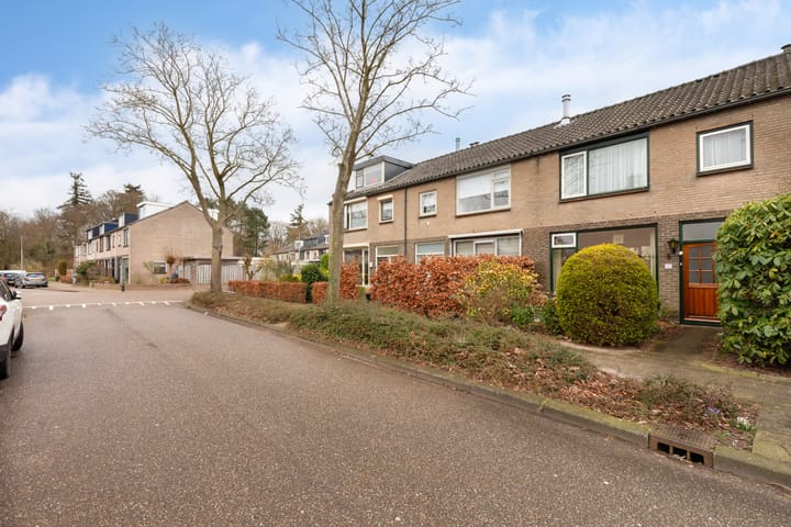 Foto 39 van Wittenburg 52