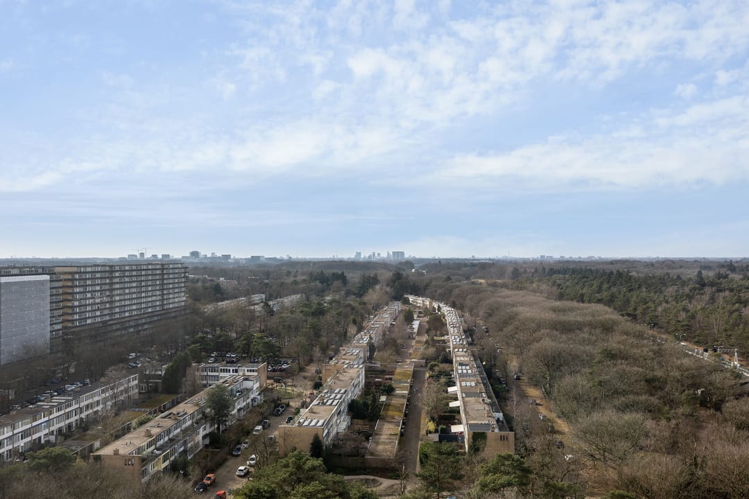 Foto 7 van Laan van Vollenhove 698