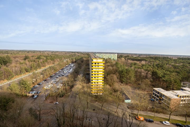 Foto 13 van Laan van Vollenhove 698