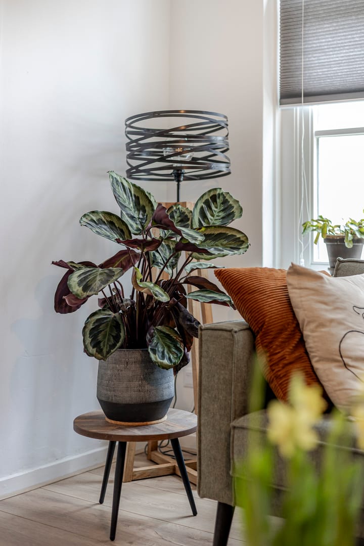 Foto 12 van Gorinchemsestraat 26