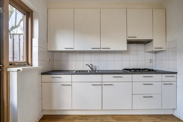 Foto 7 van Wollegras 27